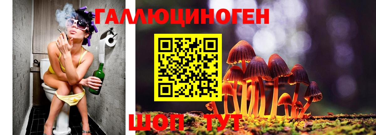 Псилоцибиновые грибы прущие грибы  Псилоцибиновые грибы Psilocybe  Вход с VPN  Нерюнгри 